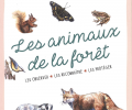 Les-animaux-foret.png