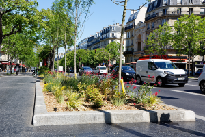 Végétalisation de l’avenue des Gobelins (5e).