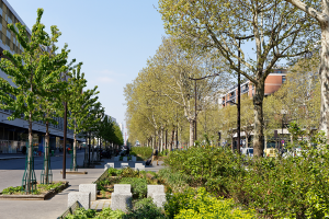 Végétalisation du boulevard Macdonald (19e).