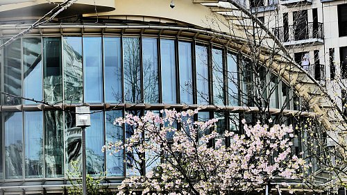 Médiathèque de la Canopée, bibliothèque verte !