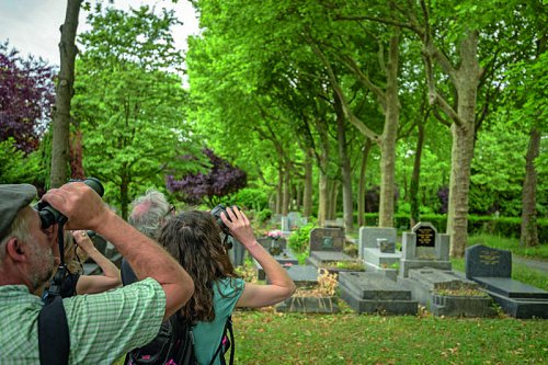 7.-97174_-_Frederic_Combeau_-_Printemps_des_cimetieres_du_cimetiere_dIvry_sur_Seine_94205.jpg