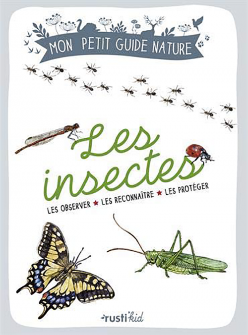 Les-insectes.png