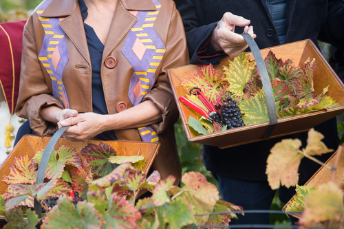 Vendanges---J.Brueder---134657.png